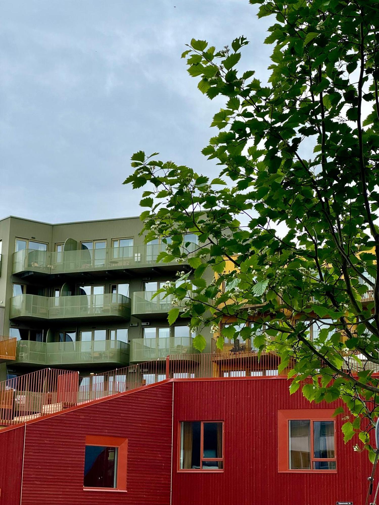Totalapartments Skansegata Studio Apartments Τρόμσο Εξωτερικό φωτογραφία